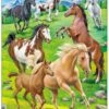 Larsen Rahmen-Puzzle, 65 Teile, 36x28 Cm, Pferde