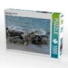 CALVENDO® Puzzle CALVENDO Puzzle Kegelrobben Am Strand - 1000 Teile Foto-Puzzle Für Glückliche Stunden