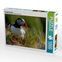 CALVENDO® Puzzle CALVENDO Puzzle Papageientaucher - 1000 Teile Foto-Puzzle Für Glückliche Stunden