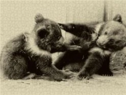 CALVENDO® Puzzle CALVENDO Puzzle Gemeinsam Herumtoben - 1000 Teile Foto-Puzzle Für Glückliche Stunden -Billiges Spielzeug Geschäft 17270607 03