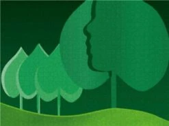 CALVENDO® Puzzle CALVENDO Puzzle Blick In Die Natur - 1000 Teile Foto-Puzzle Für Glückliche Stunden -Billiges Spielzeug Geschäft 17270699 03