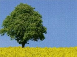 CALVENDO® Puzzle CALVENDO Puzzle Leuchtendes Farbenspiel - 1000 Teile Foto-Puzzle Für Glückliche Stunden -Billiges Spielzeug Geschäft 17273128 03