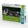 CALVENDO® Puzzle CALVENDO Puzzle Bearded Collie Im Flug über Die Wiese - 1000 Teile Foto-Puzzle Für Glückliche Stunden