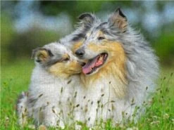 CALVENDO® Puzzle CALVENDO Puzzle Eine Stolze Mutter Mit Ihrer Tochter - 1000 Teile Foto-Puzzle Für Glückliche Stunden -Billiges Spielzeug Geschäft 17310153 03