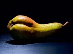 CALVENDO® Puzzle CALVENDO Puzzle Birne Helene - 1000 Teile Foto-Puzzle Für Glückliche Stunden -Billiges Spielzeug Geschäft 17339487 03