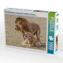CALVENDO® Puzzle CALVENDO Puzzle Emotionale Momente: Löwenkampf & Löwenliebe / CH-Version - 1000 Teile Foto-Puzzle Für Glückliche Stunden