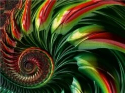 CALVENDO® Puzzle CALVENDO Puzzle Pepper Spiral - 1000 Teile Foto-Puzzle Für Glückliche Stunden -Billiges Spielzeug Geschäft 17359073 03