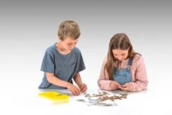 Wissner® Aktiv Lernen Spielgeldkoffer 130 Scheine + 160 Münzen 6 Wissner® Aktiv Lernen Spielgeldkoffer 130 Scheine + 160 Münzen -Billiges Spielzeug Geschäft 26436497 03