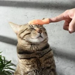 Vetaka Kleine Hände Mini Fingerpuppen,6 Stück Für Kinder -Billiges Spielzeug Geschäft 30234415 03