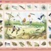 Larsen Rahmen-Puzzle, 48 Teile, 36x28 Cm, Pflanzen Und Tiere Am Teich